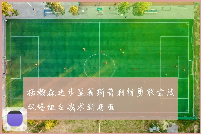 杨瀚森进步显著斯普利特勇敢尝试双塔组合战术新局面