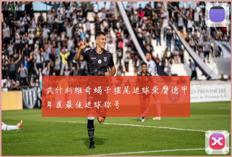 武什科维奇蝎子摆尾进球荣膺德甲年度最佳进球称号